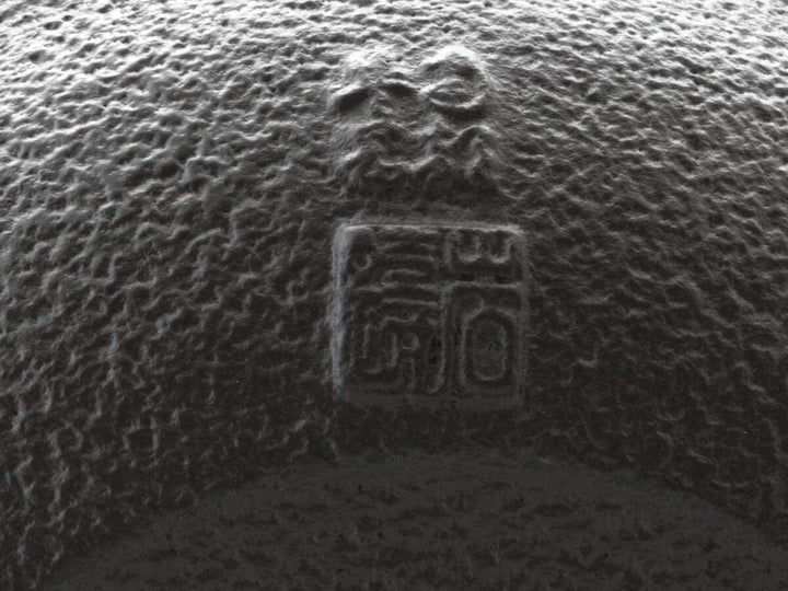 Iwachu Tetsubin Gusseisen, Teekessel Gusseisen Schwarz Kikko 1 L Handarbeit. Elektroherd und Gasherd
