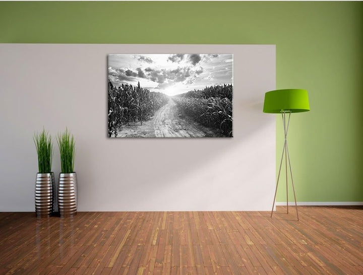 Pixxprint Pfad durch sonniges Feld Kunst B&W als Leinwandbild/Grösse: 100x70 cm/Wandbild/Kunstdruck/