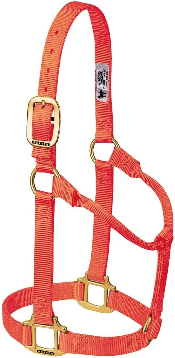 WEAVER Leather, Nicht verstellbares Halfter Orange/Abendrot im Zickzackmuster (Sunset Chevron) Avera
