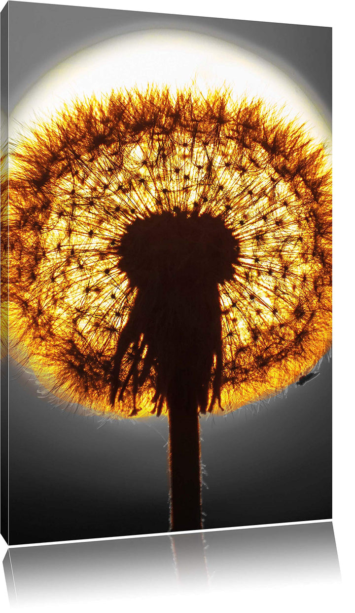 Pixxprint Pusteblume vor untergehender Sonne als Leinwandbild/Grösse: 120x80 cm/Wandbild/Kunstdruck/