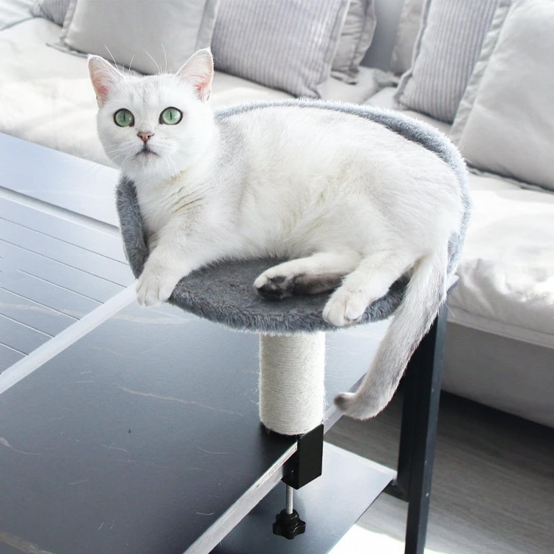 Katzenbett für Schreibtisch, Katzenliege Katzenhängematte mit Kratzsäule und Plüschpolsterung, Katze