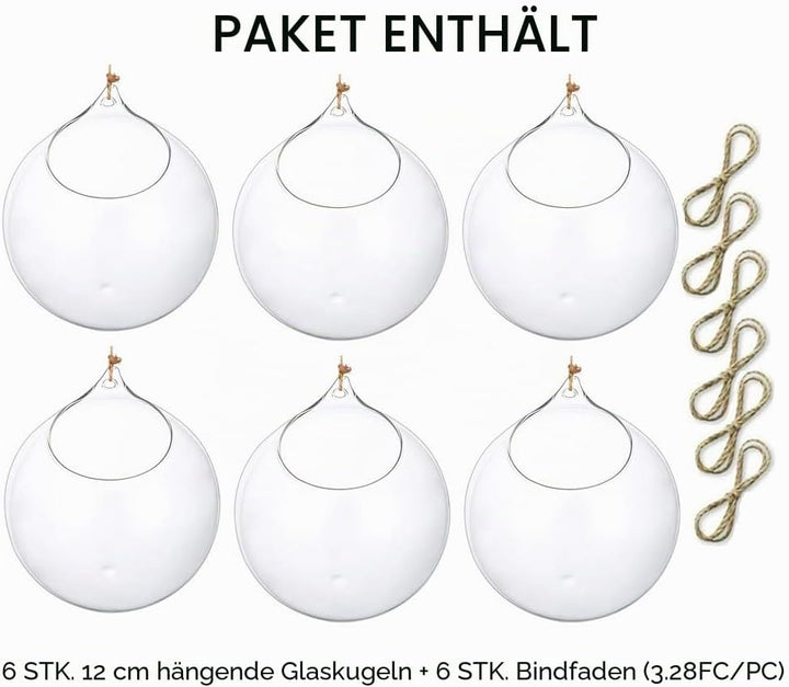 Glasseam Hängende Glaskugel Vase Glaskugel 6 Pcs Grosse Öffnung Sukkulenten Aufhängen Terrarium Glas