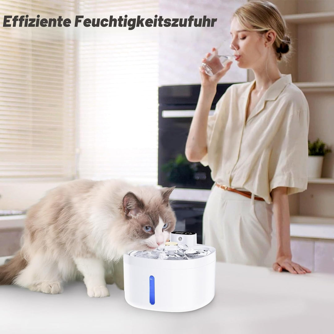 Katzenbrunnen, 2.6L Trinkbrunnen für Katze mit 4 Filter, Leise Katzenbrunnen Kabellos mit Bewegungsm