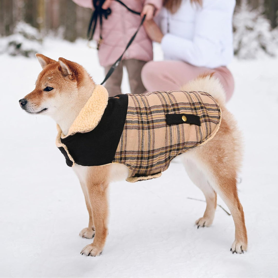 CITÉTOILE Warme Hundemantel Fleece, Wintermantel Winterjacken für Kleine/Grosse/Mittlere Hunde, Hund