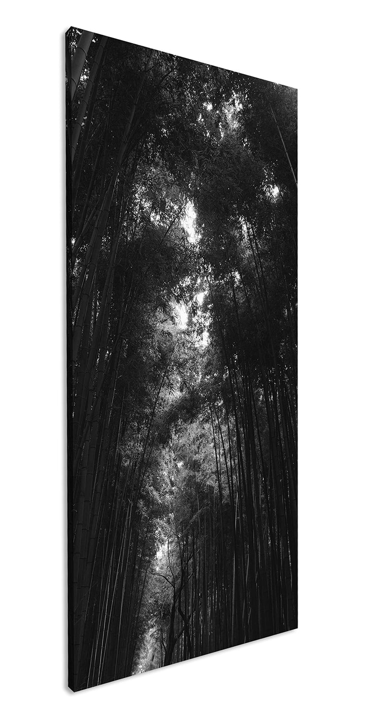 ein Wald voller Bambus Panorama 60x30 cm Effekt: Schwarz/Weiss als Leinwandbild, Motiv fertig gerahm