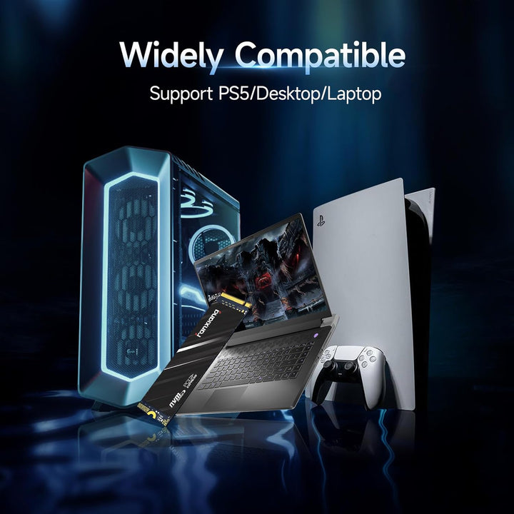 fanxiang NVMe SSD 2TB, M.2 PCIe Gen4x4 Gaming Solid State Drive, 5200 MB/s Lesen, 4700 MB/s Schreibe