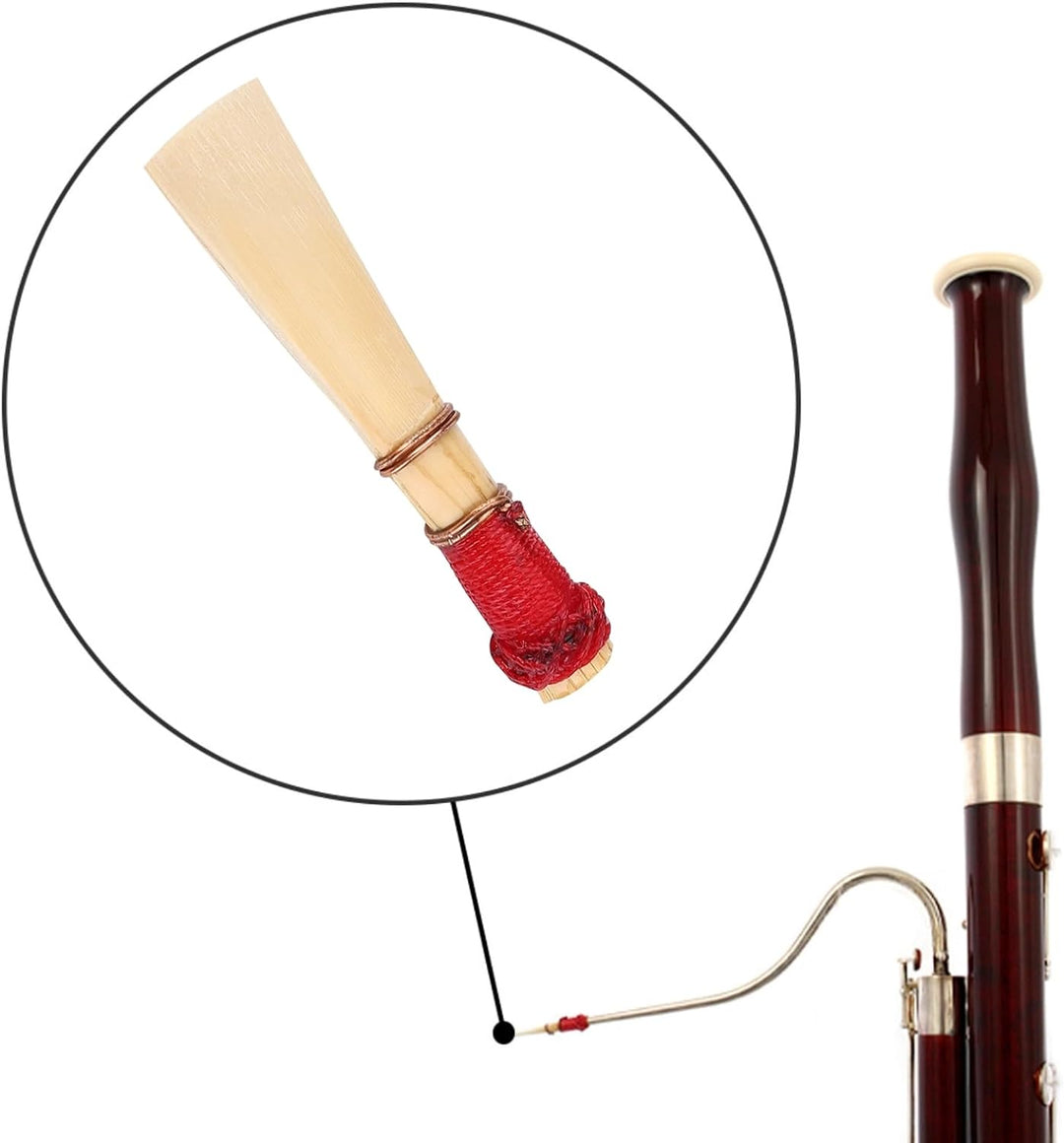 5 Stück Fagottrohr Fagottrohre Bassoon Reed mit Fagottrohr SchutzhüLlen für Studenten mittlere Härte