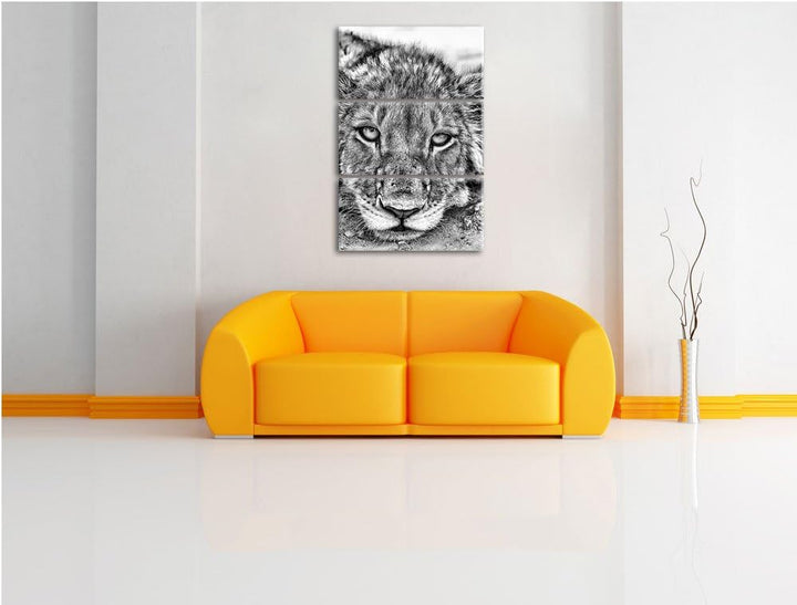 Pixxprint Monocrome, wachsame Löwin 3-Teiler Leinwandbild 120x80 Bild auf Leinwand