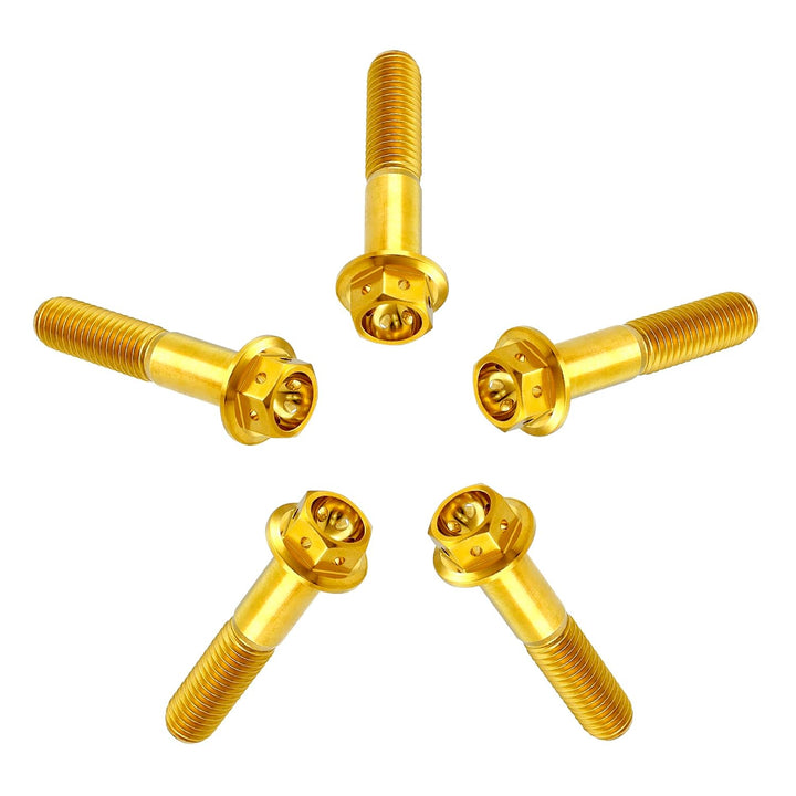 RISON Titanium Bolzen M8x1.25x25mm Titan Flansch Schrauben TC4 Titan Schrauben Sechskantschraube gol
