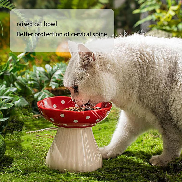 Erhöhter Katzenfutternapf aus Keramik, süsser Pilz, Futternapf für Futter und Wasser, gross und flac