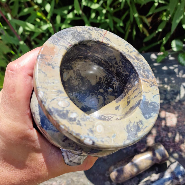 Budawi® Orthoceras Gewürz Mörser mit Stössel – Handgefertigter Küchenmörser aus Naturstein – Fossile