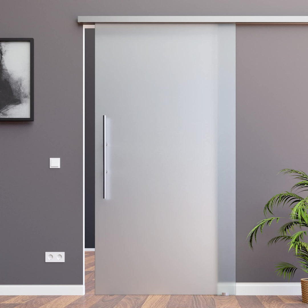 BS-900D-2-600-ASE: Schiebetürsystem ESG 900x2175x8mm Dekor S, vollsatiniert; Schienensystem ALU Slim