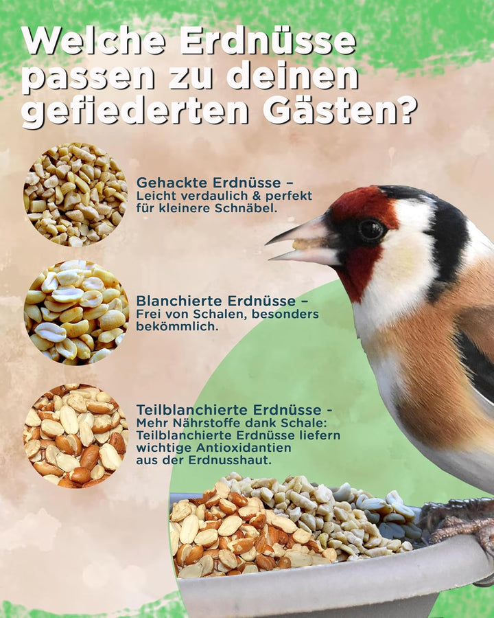 10 kg Erdnüsse gehackt Vogelfutter Wildvogelfutter Erdnusskerne gehackt von Futterbauer