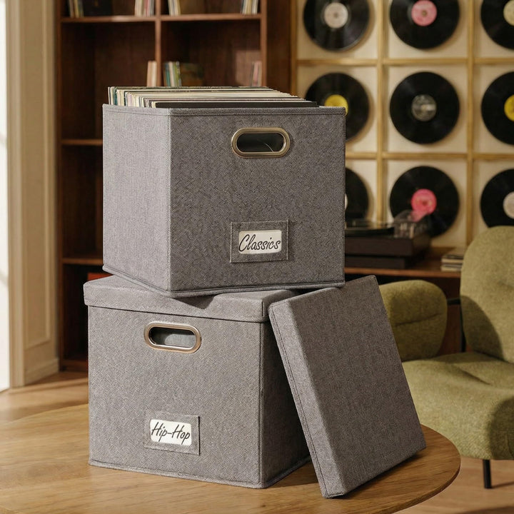 Dekorative Vinyl Schallplattenaufbewahrungsbox 2er Set für 100+ einzelne Schallplatten - stabile LP