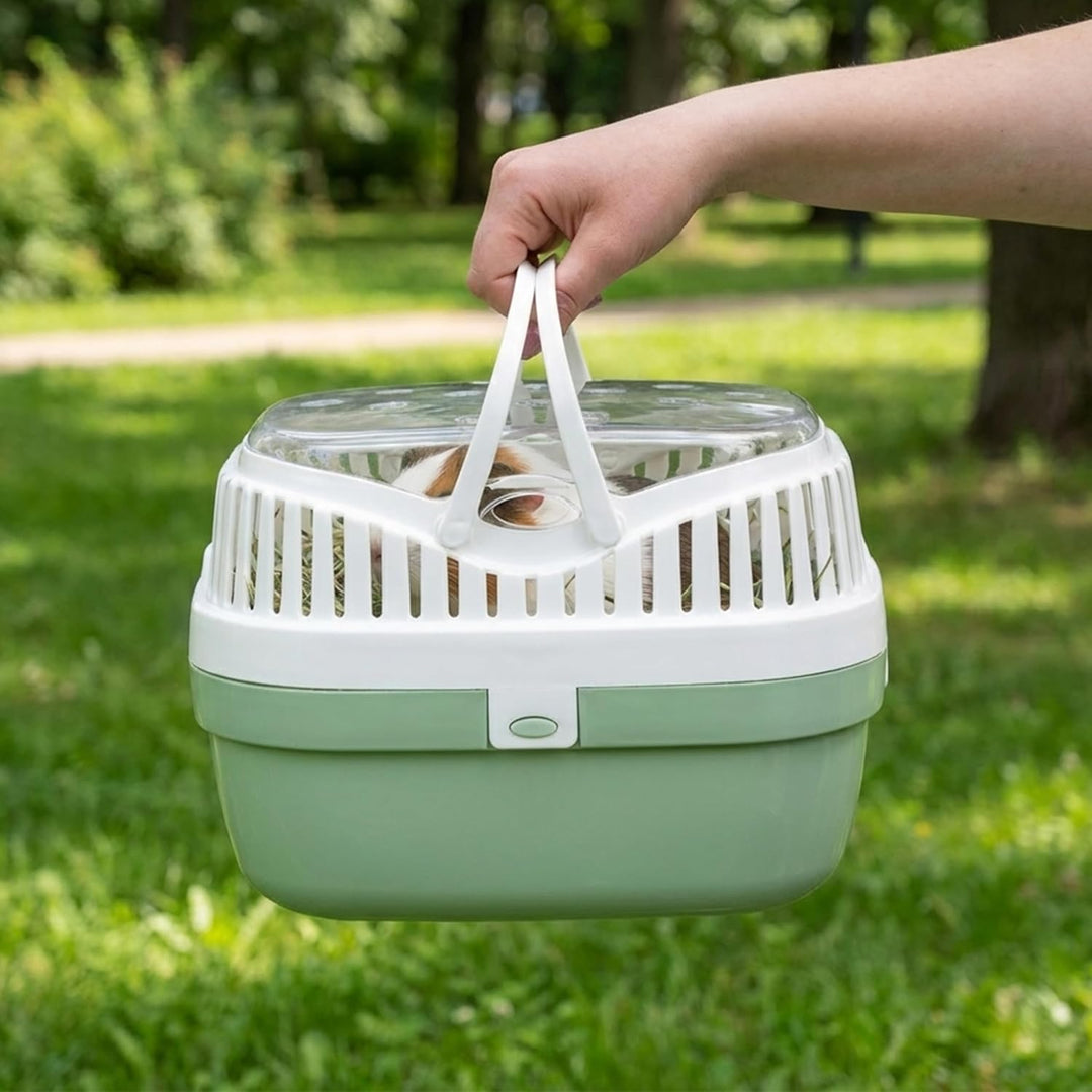 Ferplast Transportbox für Hamster und andere kleine Nagetiere Aladino Medium Reisekäfig für Hamster,