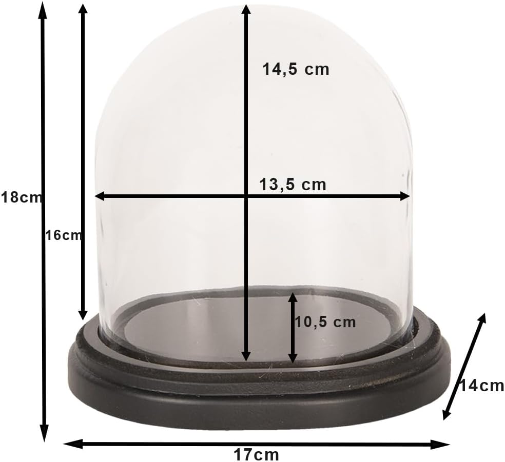 Clayre & Eef Glasglocke 17 * 14 * 18 cm Transparent Holz/Glas 6GL2488