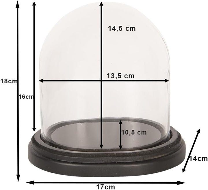 Clayre & Eef Glasglocke 17 * 14 * 18 cm Transparent Holz/Glas 6GL2488
