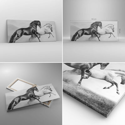 Wandbilder Dekoration Wohnzimmer Pferde Tiere Galopp Wiese Panorama Bilder auf Leinwand 120x50cm Lei