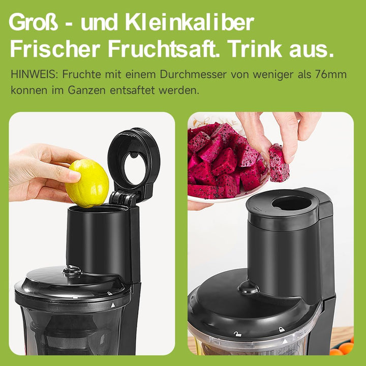 Wiltal | Slow Juicer | Entsafter Gemüse und Obst | Mit 76 mm Öffnung | Elektrischer Entsafter für Ob