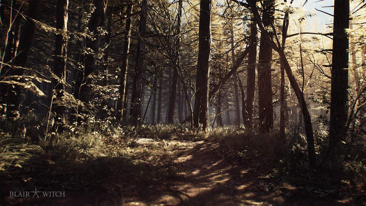 Blair Witch [PC] PC Standard, PC Standard