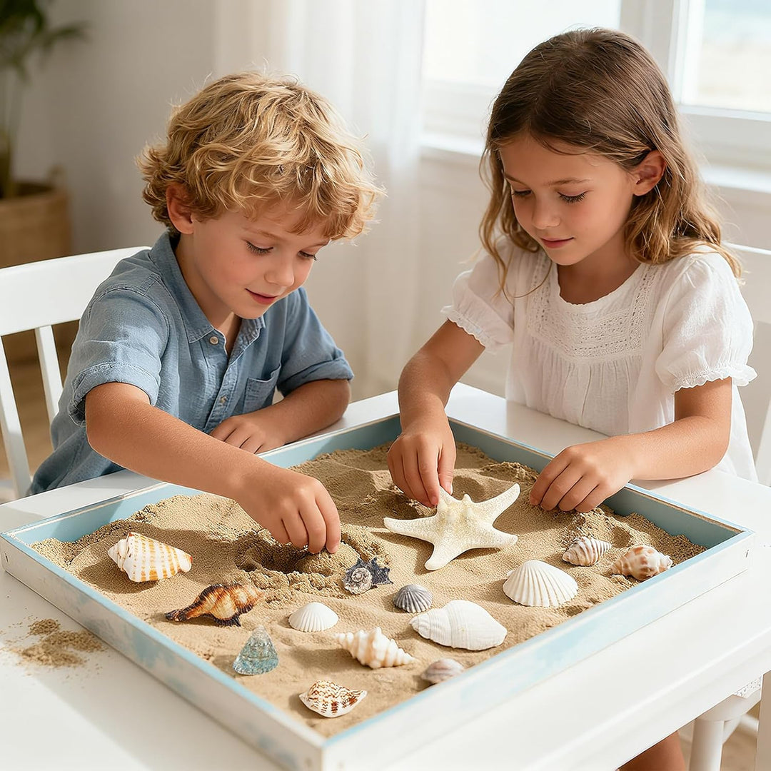 Adventskalender 2025 Kinder, 24 Tage Weihnachts-Adventskalender Countdown, Muscheln Adventskalenders