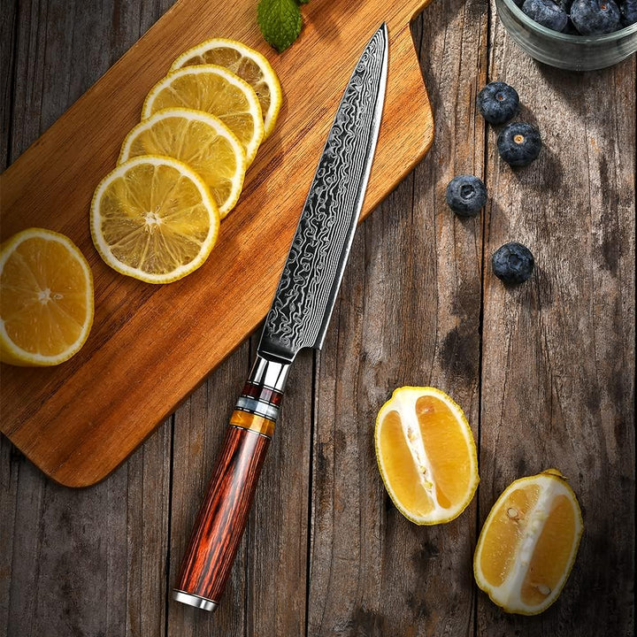 FANTECK 16cm Küchenmesser Damastmesser, Obstmesser Scharf Kochmesser Profi Chef Messer 67-Schicht VG