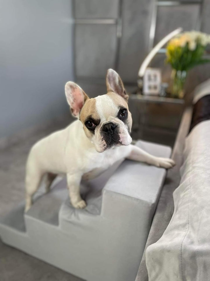 Hundetreppe mit 4 Stufen Katzentreppe Haustiertreppe Einstiegshilfe Schaumstoff (Farbe: dunkelblau),