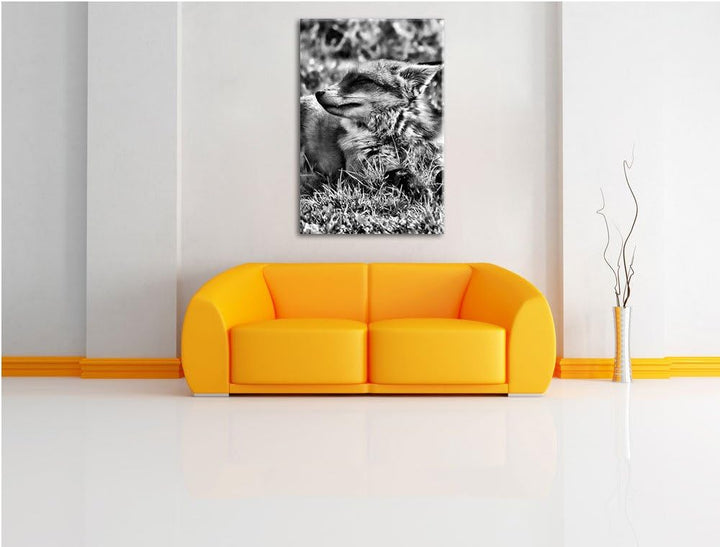 Monocrome, Fuchs im Gras, Format: 100x70 auf Leinwand, XXL riesige Bilder fertig gerahmt mit Keilrah