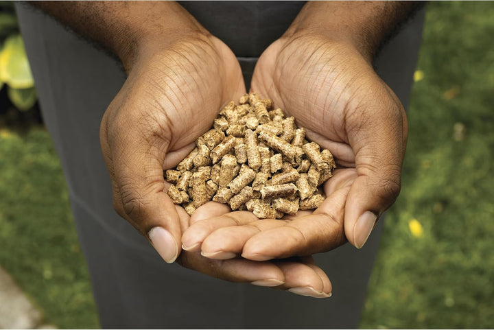 Ninja Woodfire Allzweckmischung Pellets 900 g - 100