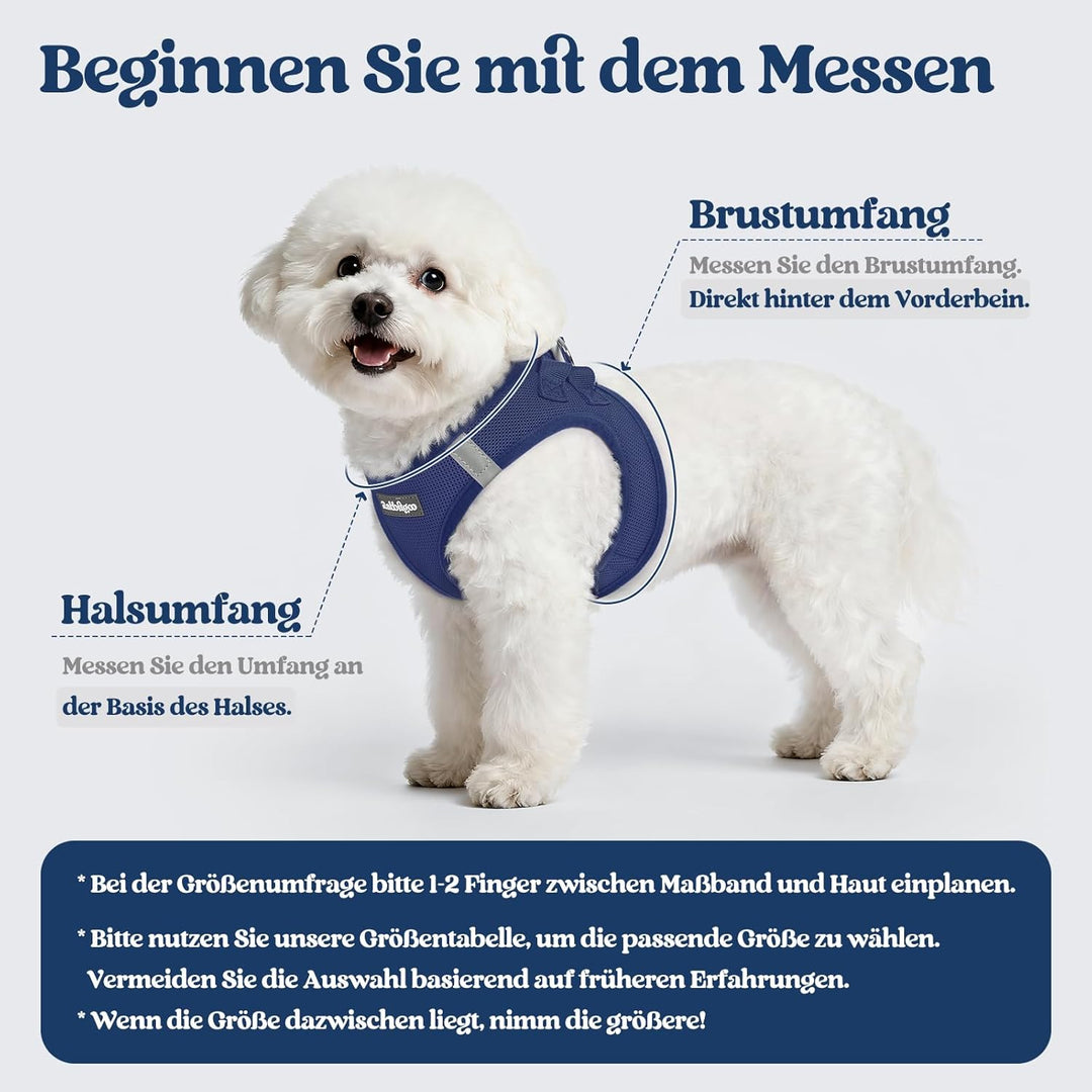 rabbitgoo Hundegeschirr Kleine Hunde mit Leine, Step-in Welpengeschirr Weich Mesh für Spaziergänge,