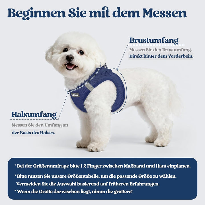 rabbitgoo Hundegeschirr Kleine Hunde mit Leine, Step-in Welpengeschirr Weich Mesh für Spaziergänge,