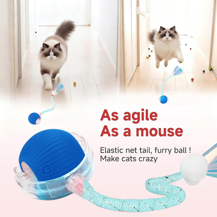 Interaktives Katzenspielzeug，Lot de 2 Katzenspielzeug，Katzenspielzeug Ball Mit Einem Blinkenden und