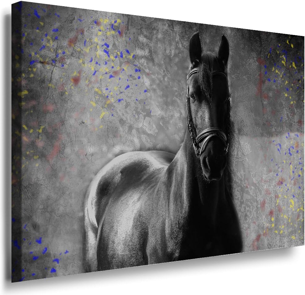 Julia-Art - Bilder Pferd Leinwand mit Keilrahmen 100 x 70 cm Leinwandbild XXL Wandbild Tiere Kunstdr