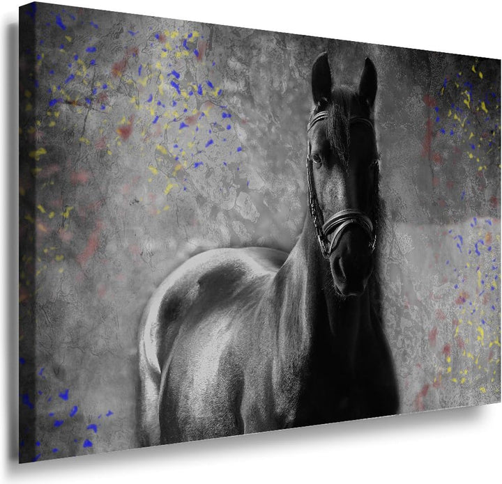 Julia-Art - Bilder Pferd Leinwand mit Keilrahmen 100 x 70 cm Leinwandbild XXL Wandbild Tiere Kunstdr