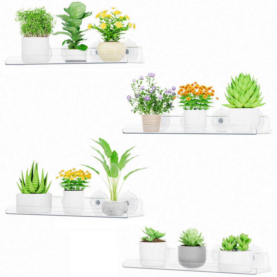 Lifewit Fenster Pflanzenregale, 4 Stück, 38cm, Transparent Regal Saugnapf, Fensterwand-Pflanzenständ