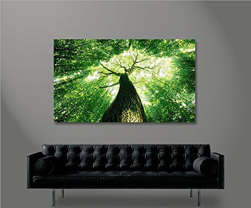 islandburner Bild Bilder auf Leinwand Baumkrone Grün Wald Sonnenstrahlen Bäume 1p XXL Poster Leinwan