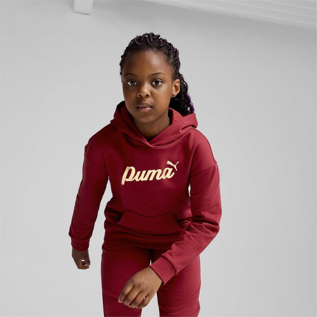 PUMA Mädchen ESS+ Script Metallic Hoodie FL Sweat 176 Intensive Rot-goldfolie, 176 Intensive Rot-gol