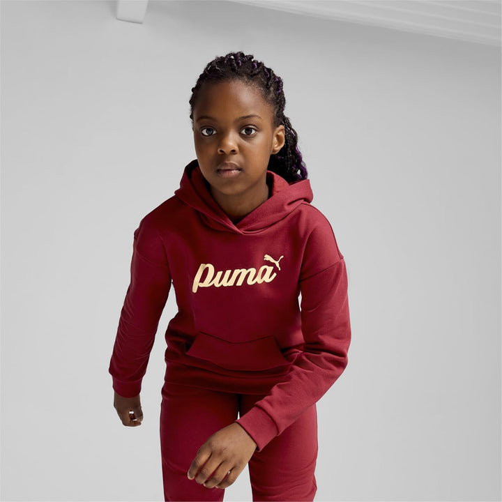 PUMA Mädchen ESS+ Script Metallic Hoodie FL Sweat 176 Intensive Rot-goldfolie, 176 Intensive Rot-gol