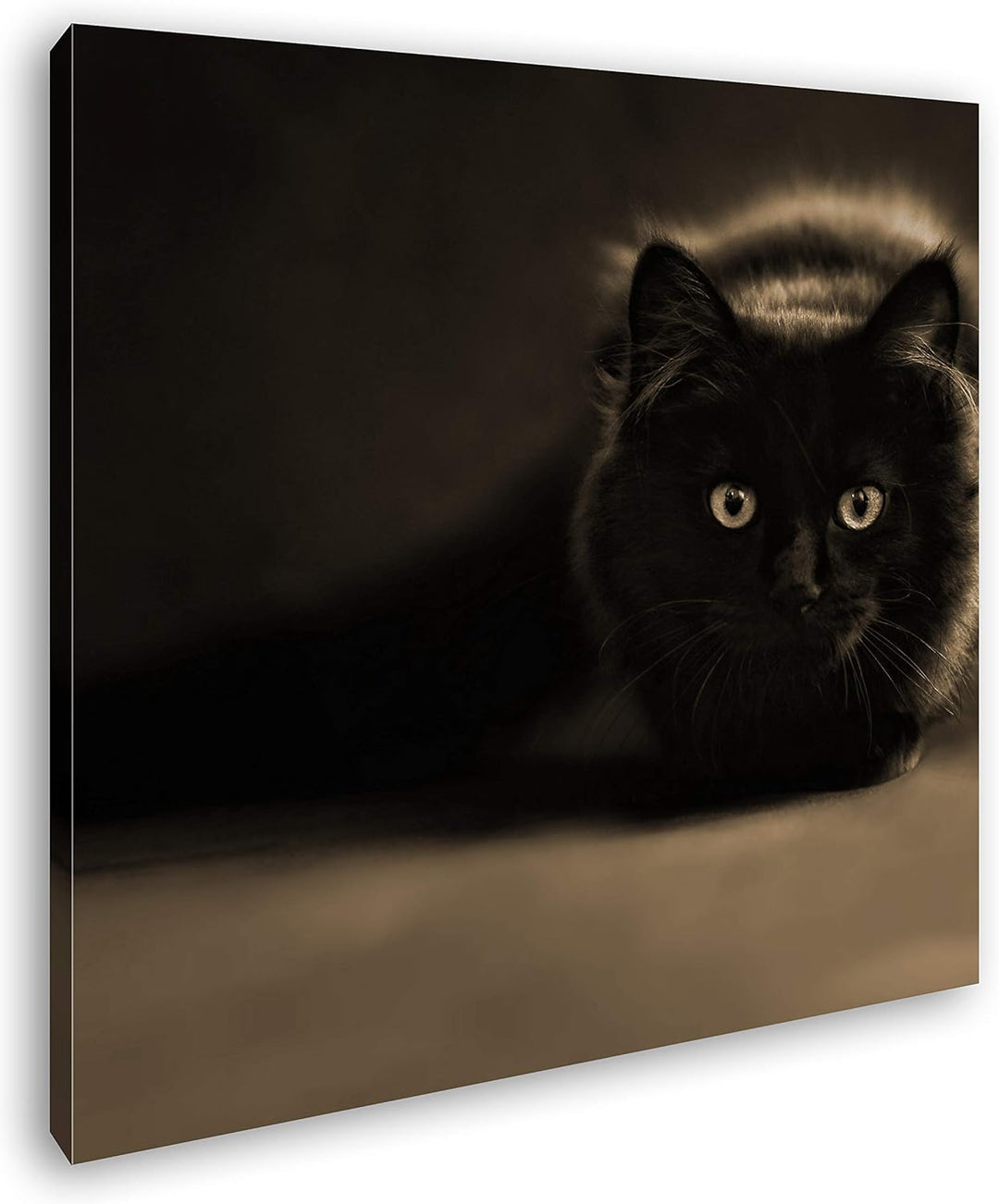 deyoli lauernde Schwarze Katze Format: 60x60 Effekt: Sepia als Leinwandbild, Motiv auf Echtholzrahme