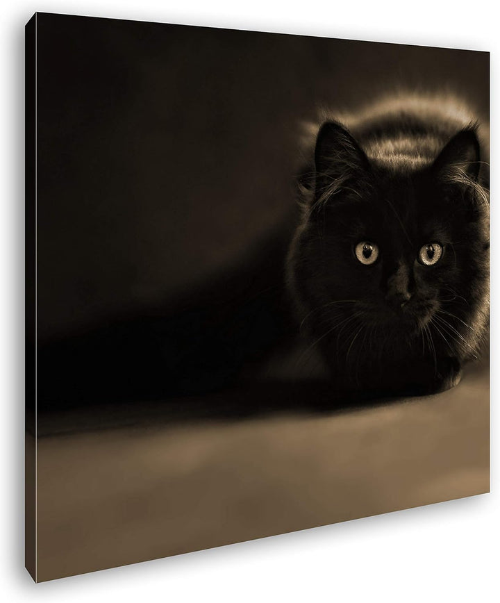 deyoli lauernde Schwarze Katze Format: 60x60 Effekt: Sepia als Leinwandbild, Motiv auf Echtholzrahme