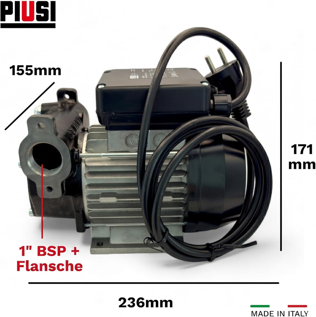 230V Dieselpumpe Panther 72 Betankungspumpe Flügelzellenpumpe mit Filter 70 lmin Industrielle, Indus