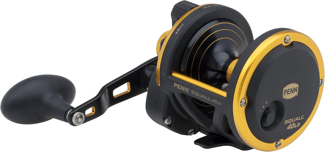 PENN Squall Level Wind Multirolle für Salzwasser Boots- oder Kajakangeln 30-Pound/360-Yard, 30-Pound