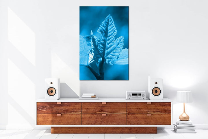 deyoli frischer Sprössling Format 80x60 Effekt: Monocrome Blau als Leinwandbild, Motiv fertig gerahm