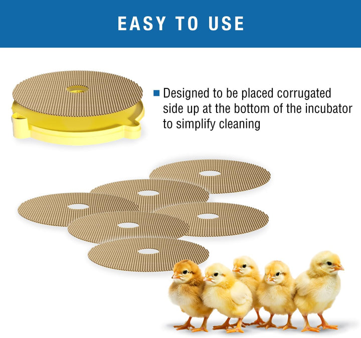 Brinsea Products Maxi II Brutmatten für Eier, Einheitsgrösse
