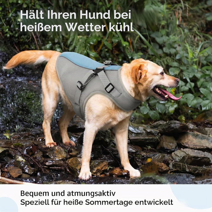 Kühlweste Hund mit Geschirr, Hundekühlweste für kleine Hunde, Atmungsaktive Kühljacke mit Verdunstun