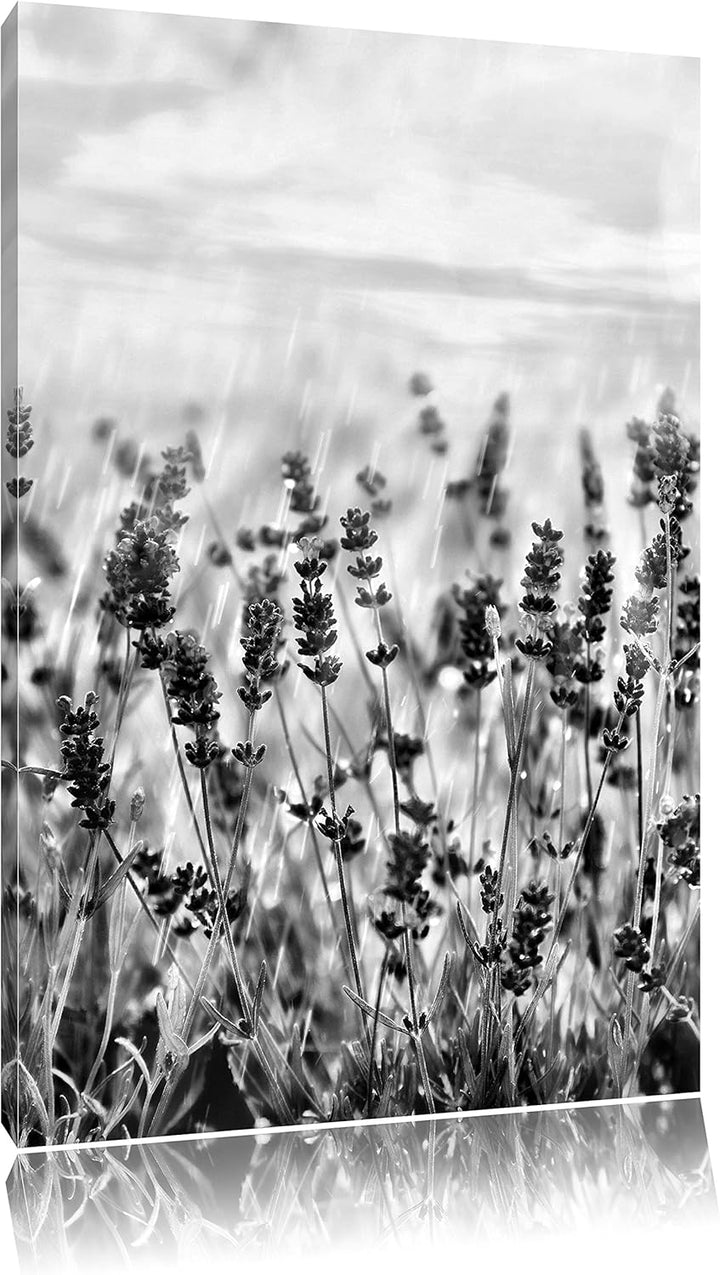 Pixxprint Schöner Lavendel im Regen / 100x70cm Leinwandbild bespannt auf Holzrahmen/Wandbild Kunstdr