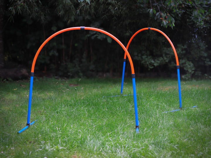 Lemodo Hoopers Set mit 2 Bögen, Agility Set, Steckhürden-Set mit Tasche, Hundesport, Hundetraining S