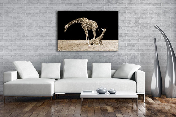 deyoli Dark entspannte Giraffen Format: 80x60 Effekt: Sepia als Leinwand, Motiv fertig gerahmt auf E