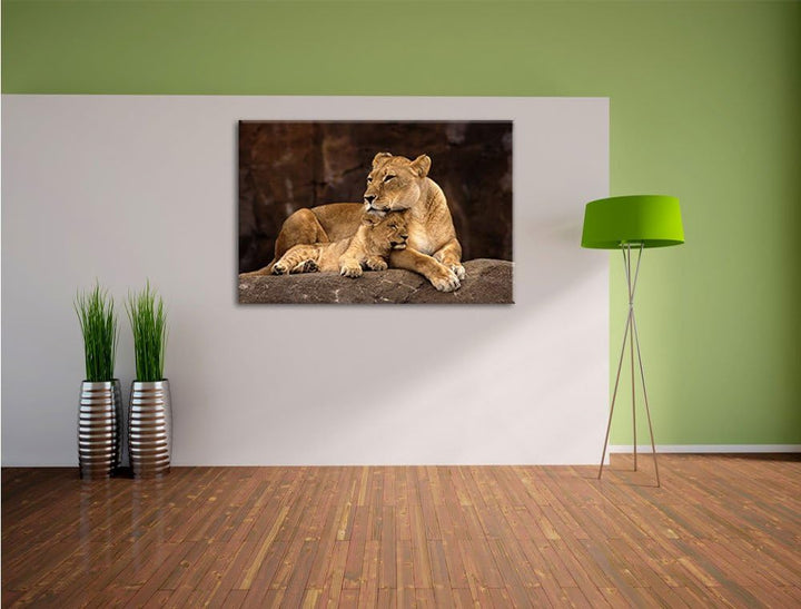 Pixxprint Löwe mit Löwenjungen als Leinwandbild/Grösse: 100x70 / Wandbild/Kunstdruck/fertig bespannt