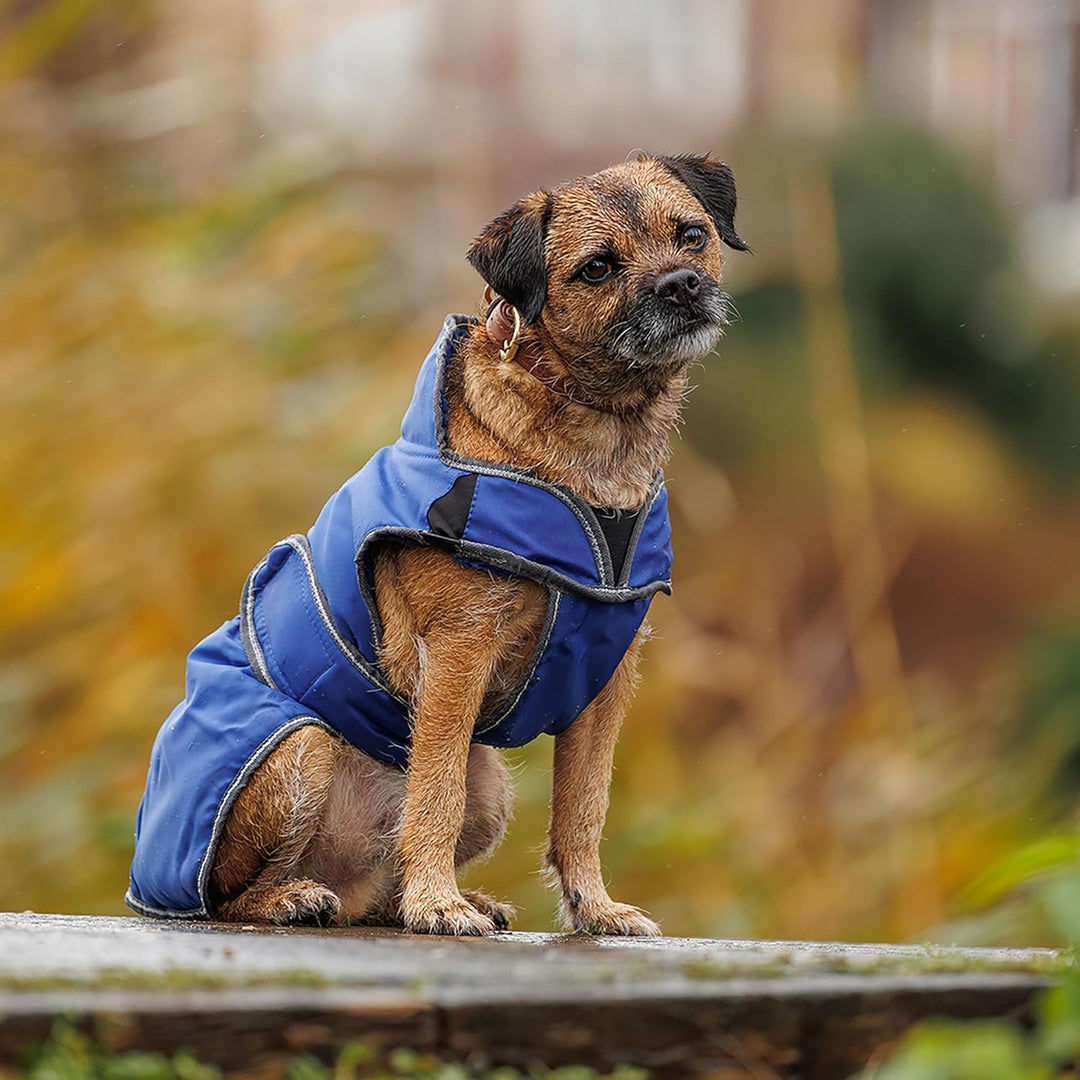 WeatherBeeta Hundemantel ComFiTec Windbreaker Free - 75 cm - Dunkelblau-Silber 30" Dunkelblau/grau/w